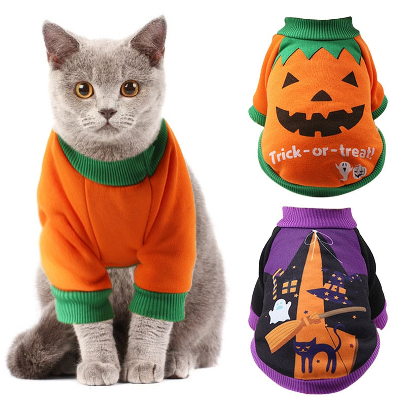 Halloween Costumes for Cat