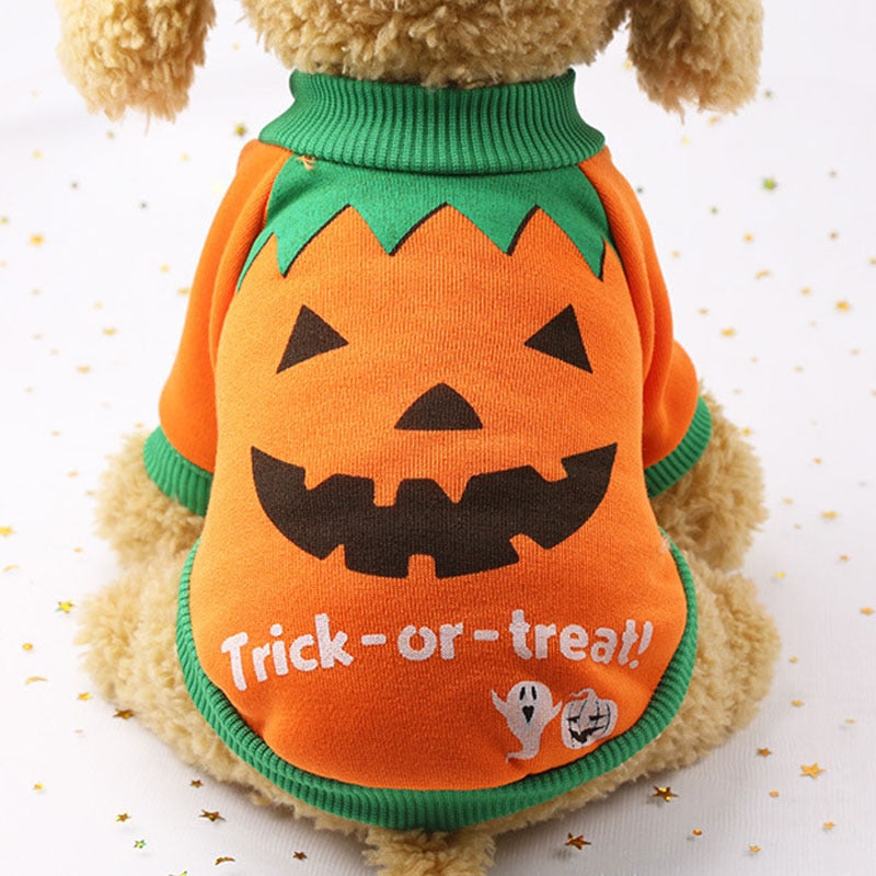 Halloween Costumes for Cat - Pumpkin / XS