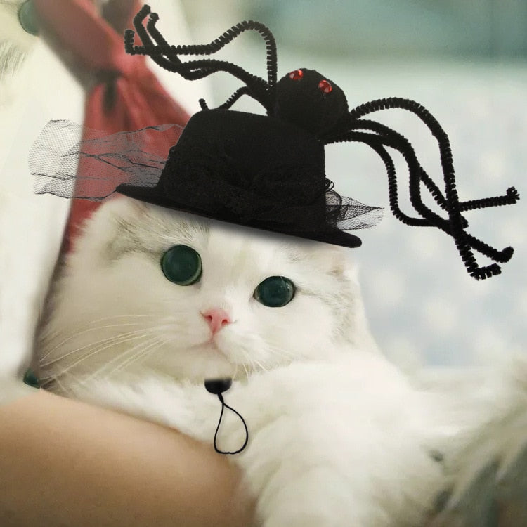 Halloween Hats for Cats - Hat for Cats