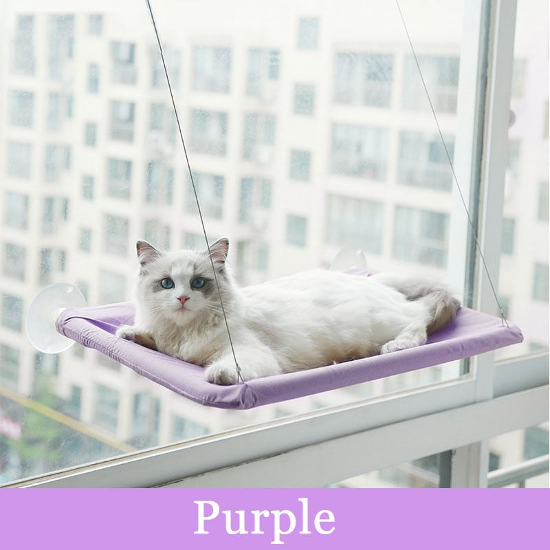 Hanging bed for Cats - Purple - Hanging bed for Cats