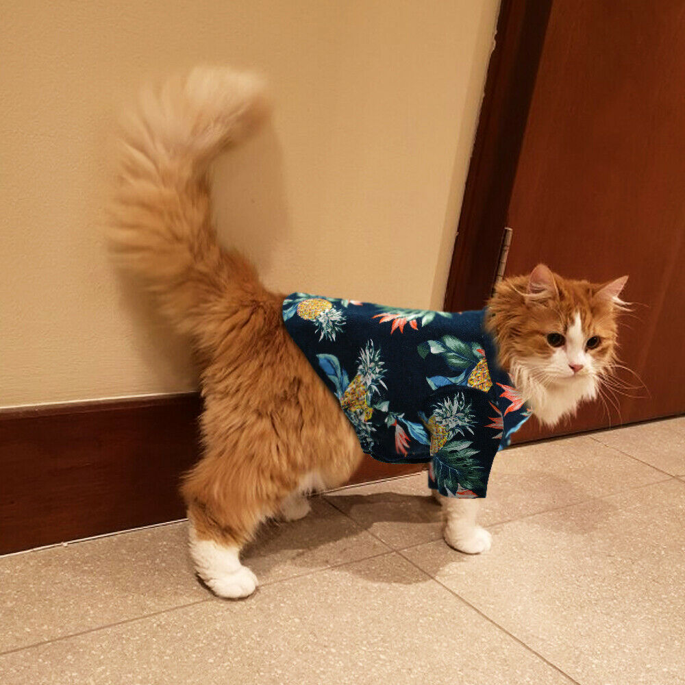 Hawaiian Clothes for Cats - Clothes for cats
