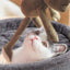 Heart Shaped Cat Bed