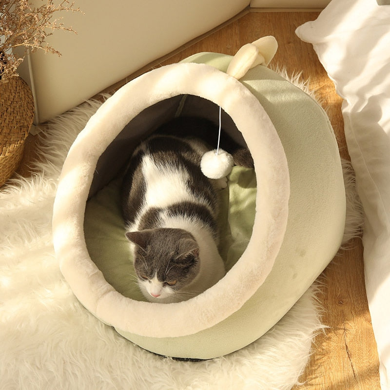 Heated Cat Bed - Green Dragon / S
