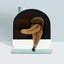 Hooded Cat Litter Box - Cat litter Box