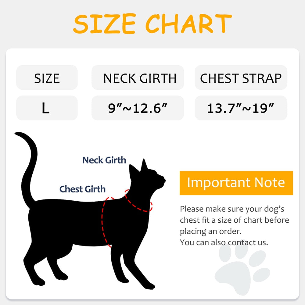 Jacket Harness for Cats - cat harness leash