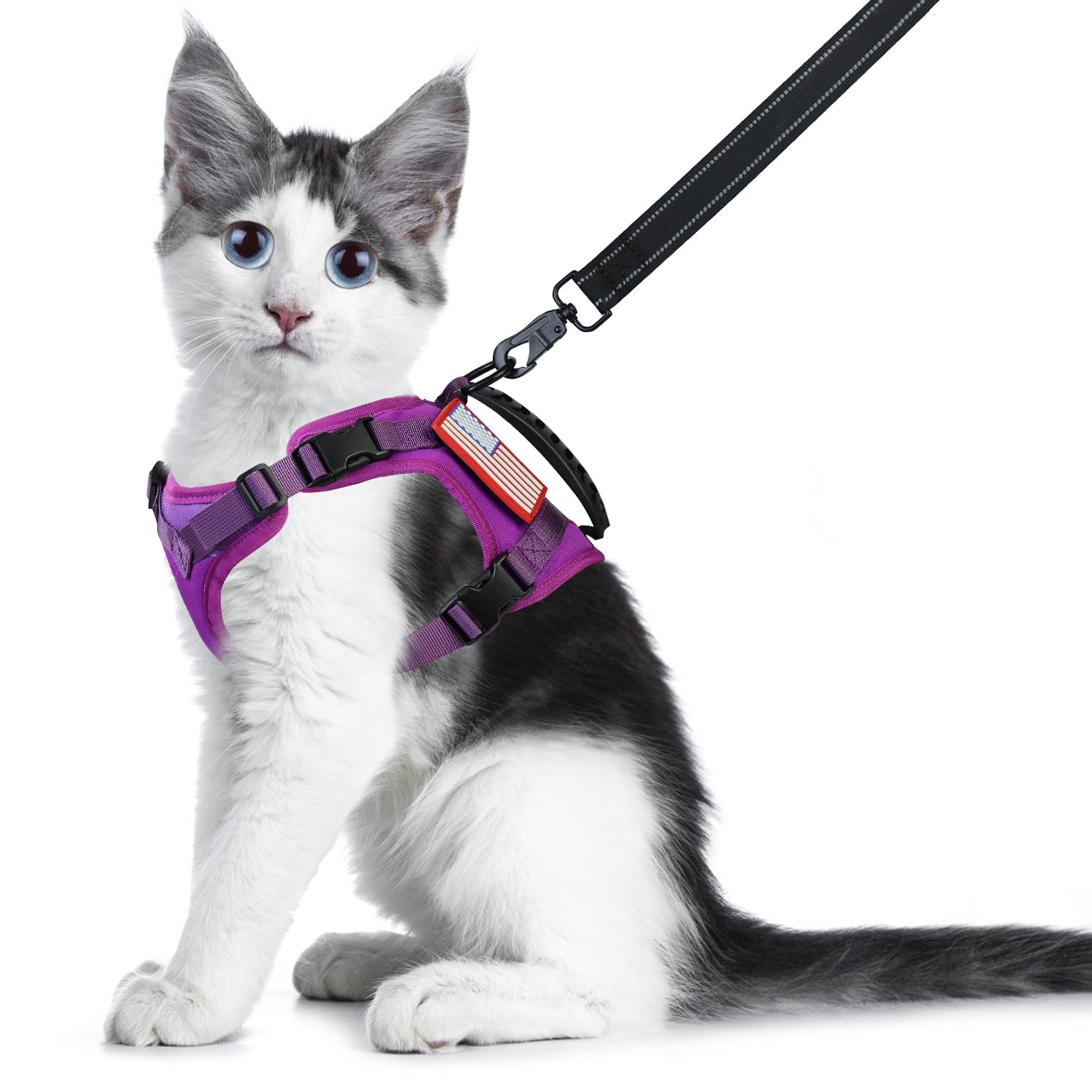 Jacket Harness for Cats - Purple / L - cat harness leash