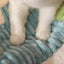 Kawaii Cat Bed