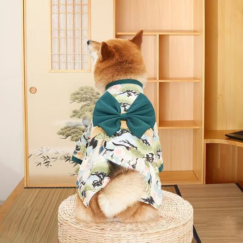 Kimono Clothes for Cats - Green / XS - Clothes for cats