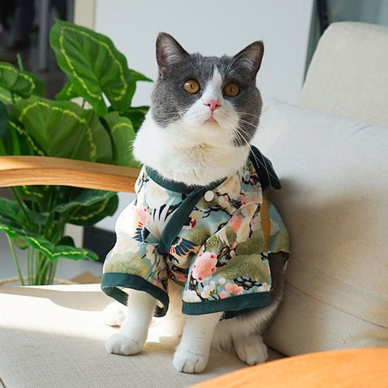 Kimono Clothes for Cats - Clothes for cats