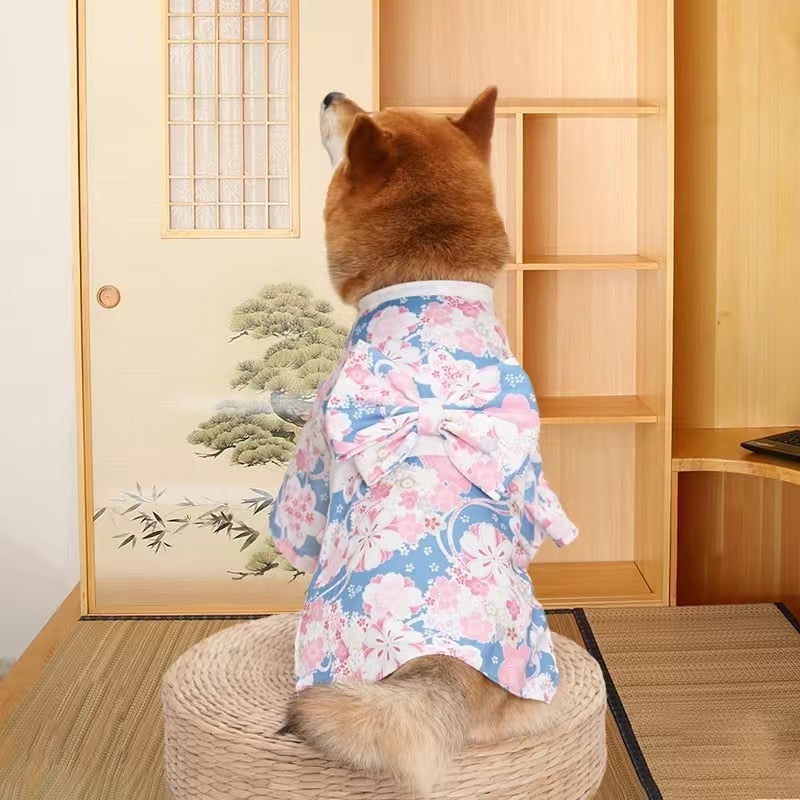 Kimono Clothes for Cats - Blue / XS - Clothes for cats