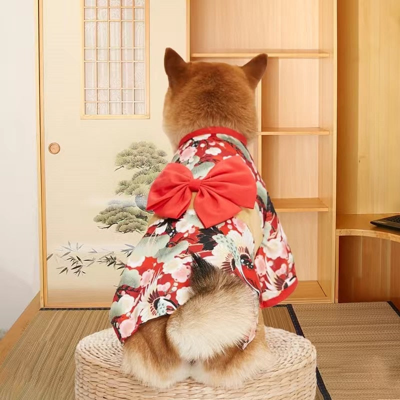 Kimono Clothes for Cats - Red / XS - Clothes for cats