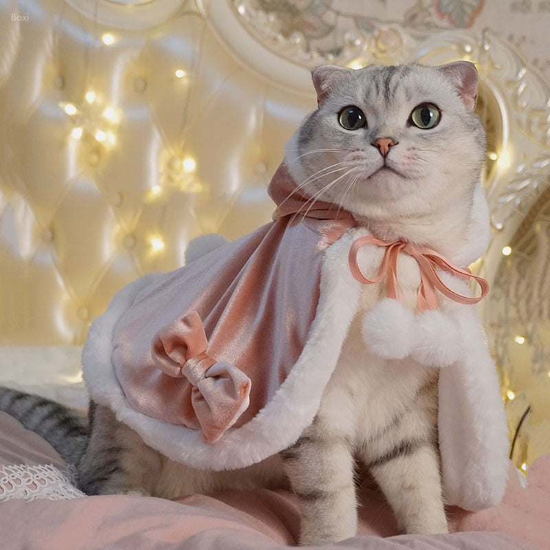 Kitten Costume for Cats