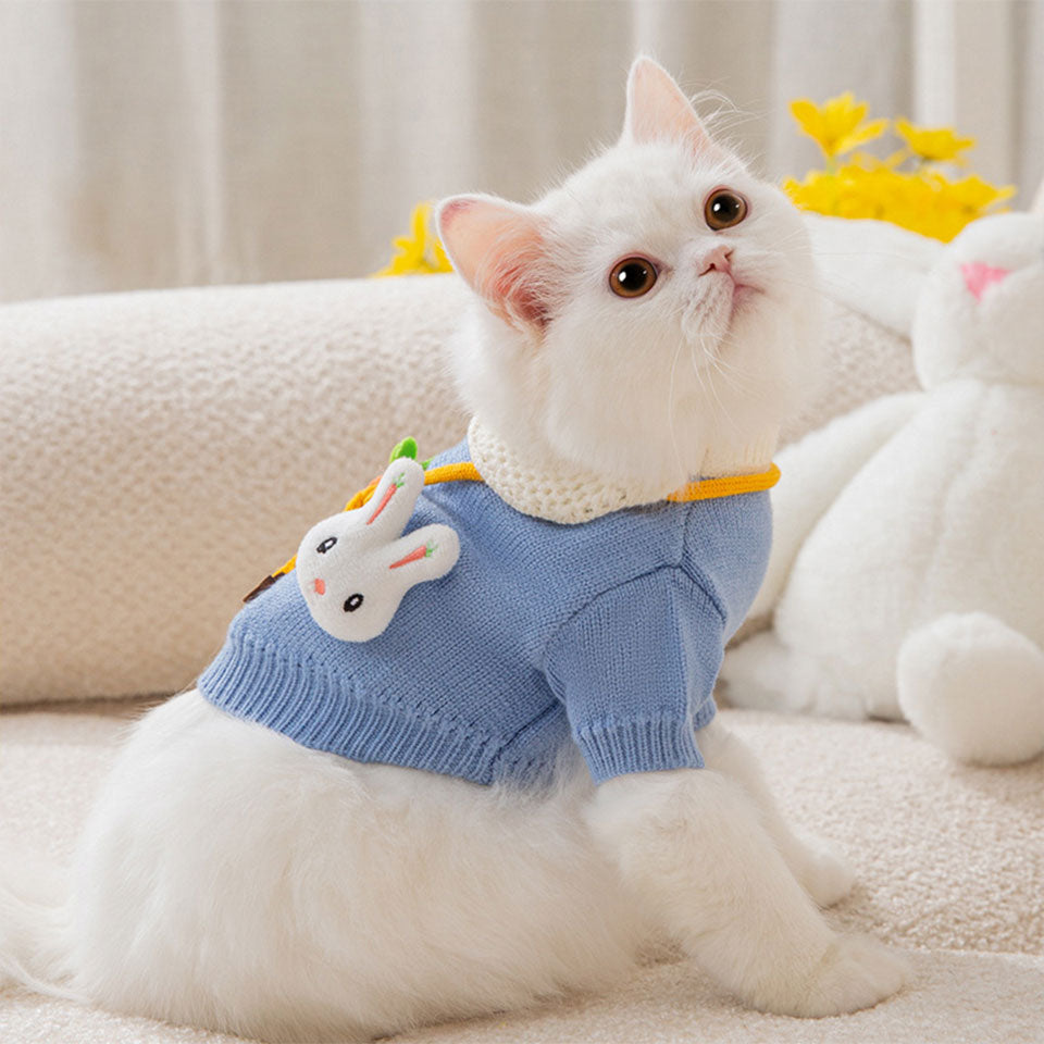 Knitted Clothes for Cats - Clothes for cats