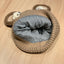 Korean Cat Beanie - Cat beanie