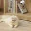 Laser Cat Toy - Cat Toys
