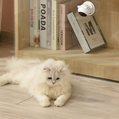 Laser Cat Toy - Cat Toys