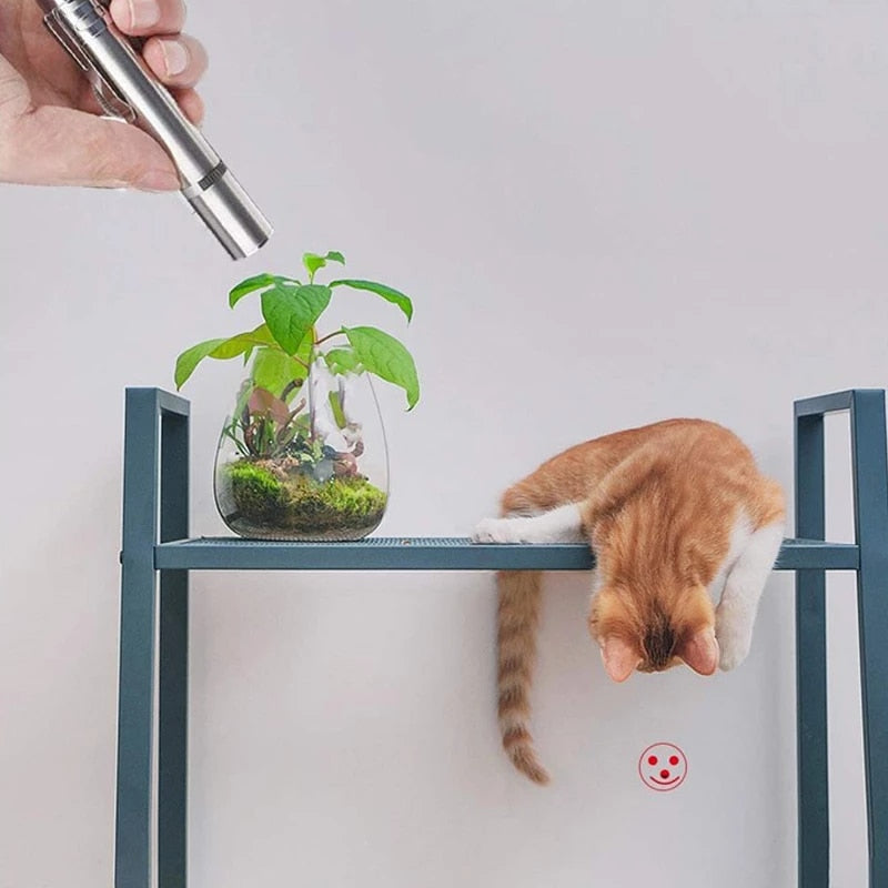 Laser Pointer Pen Cat Toy - Cat Toys