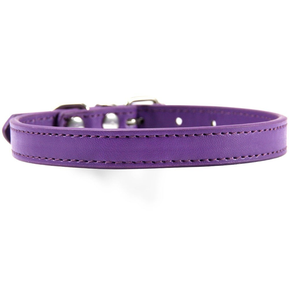 Leather Cat Collars - Purple / XS - Cat collars