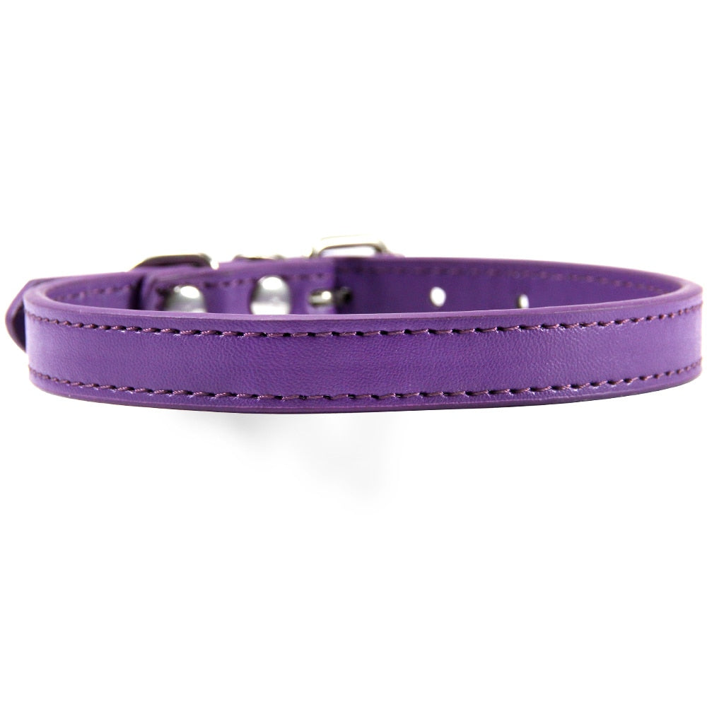 Leather Cat Collars - Purple 1 / XS - Cat collars