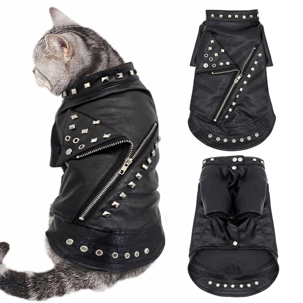 Leather Jacket Clothes for Cat - Clothes for cats