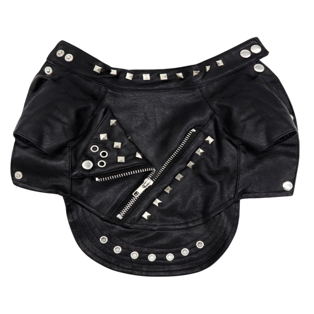 Leather Jacket Clothes for Cat - Clothes for cats