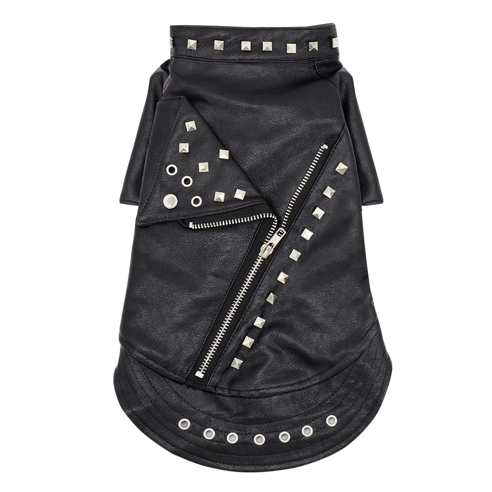 Leather Jacket Clothes for Cat - S - Clothes for cats