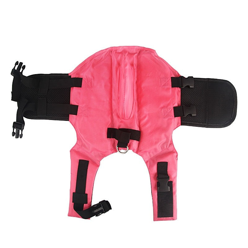 Life Jacket for Cat - pink / XS - Life jackets for Cats
