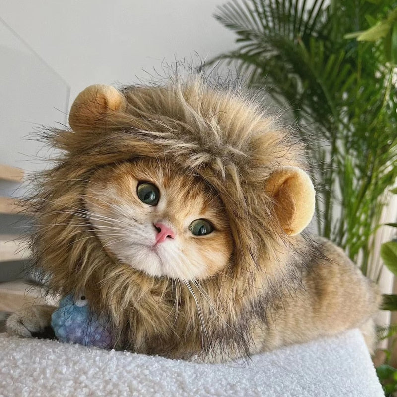 Lion Costume for Cat