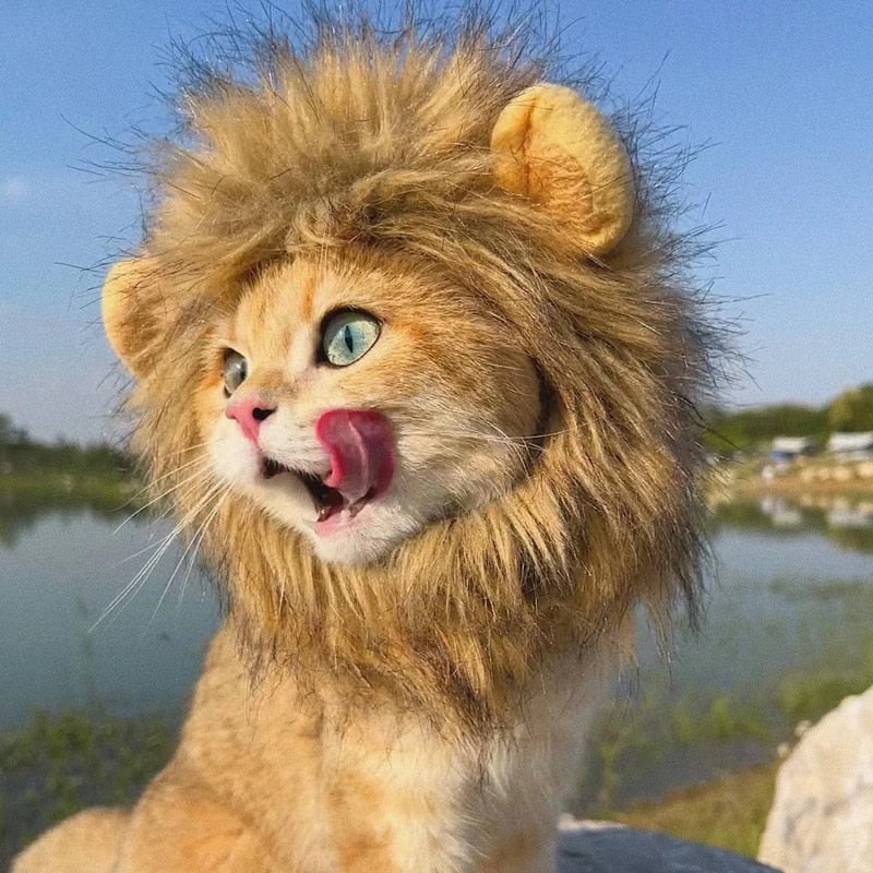 Lion Costume for Cat