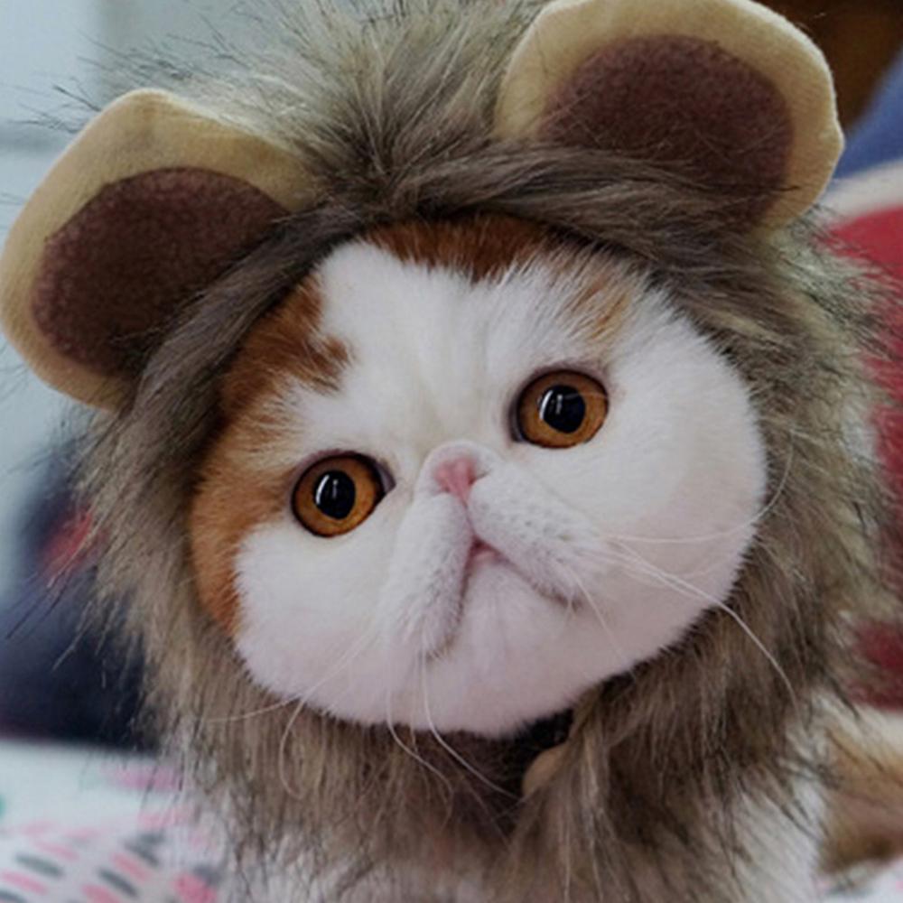 Lion Hat for Cat - Hat for Cats