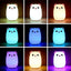 Little Cat Night Light