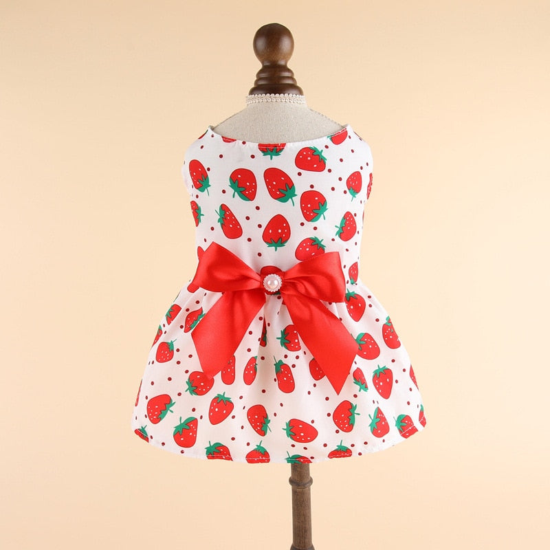 Lovely Cat Dress - Red / XS
