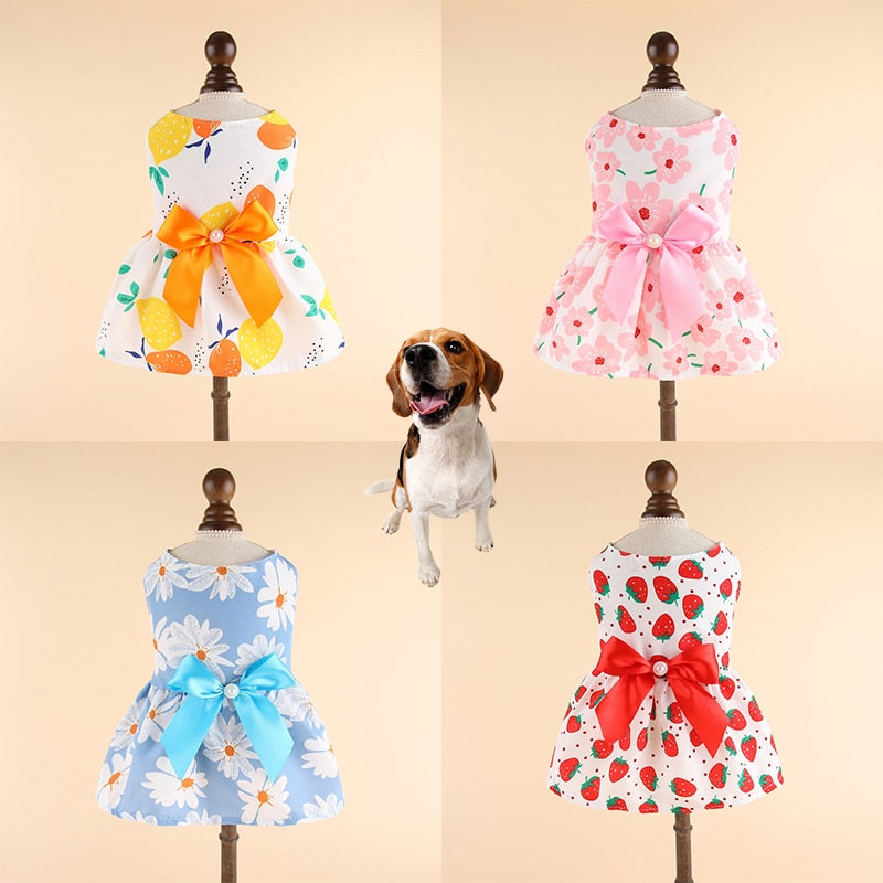 Lovely Cat Dress