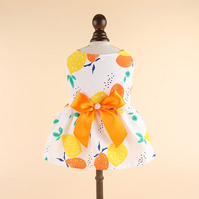 Lovely Cat Dress - Orange / XS
