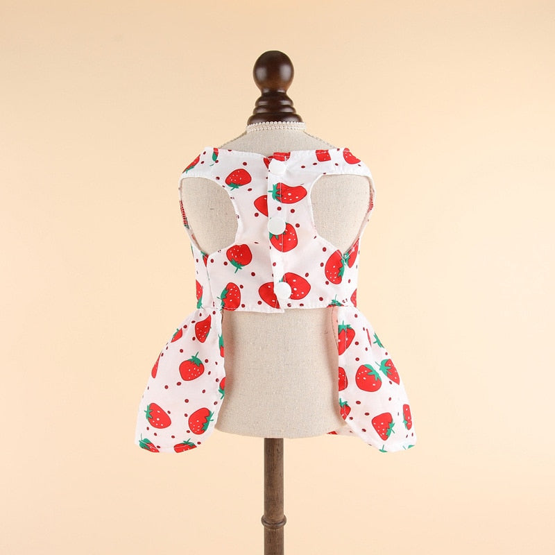 Lovely Cat Dress