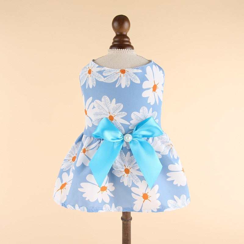 Lovely Cat Dress - Light Blue / XS
