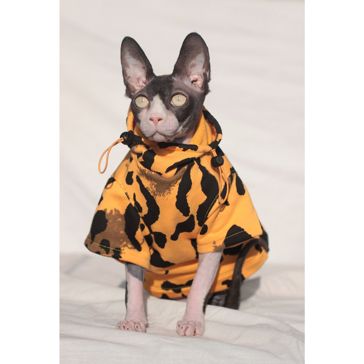 Luxury Clothes for Cats - Clothes for cats