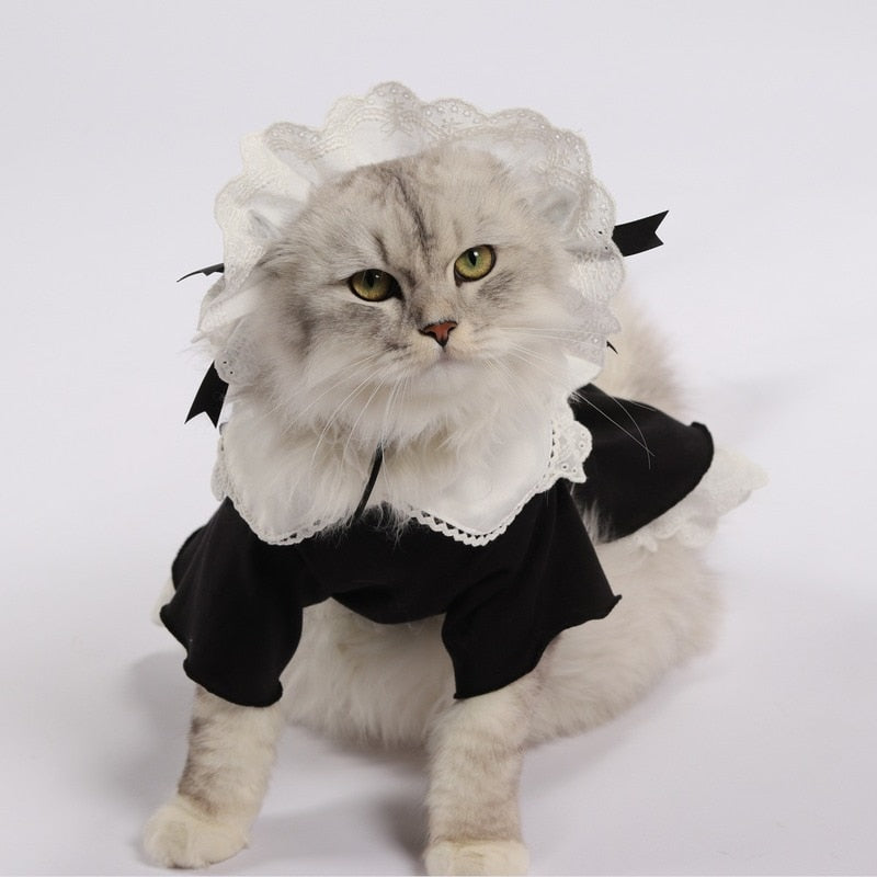 Maid Dress Clothes for Cats - Clothes for cats