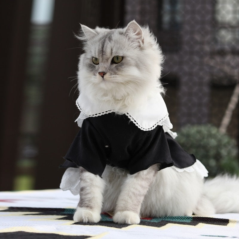 Maid Dress Clothes for Cats - Clothes for cats