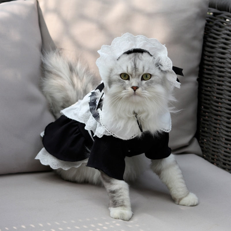 Maid Dress Clothes for Cats - Clothes for cats
