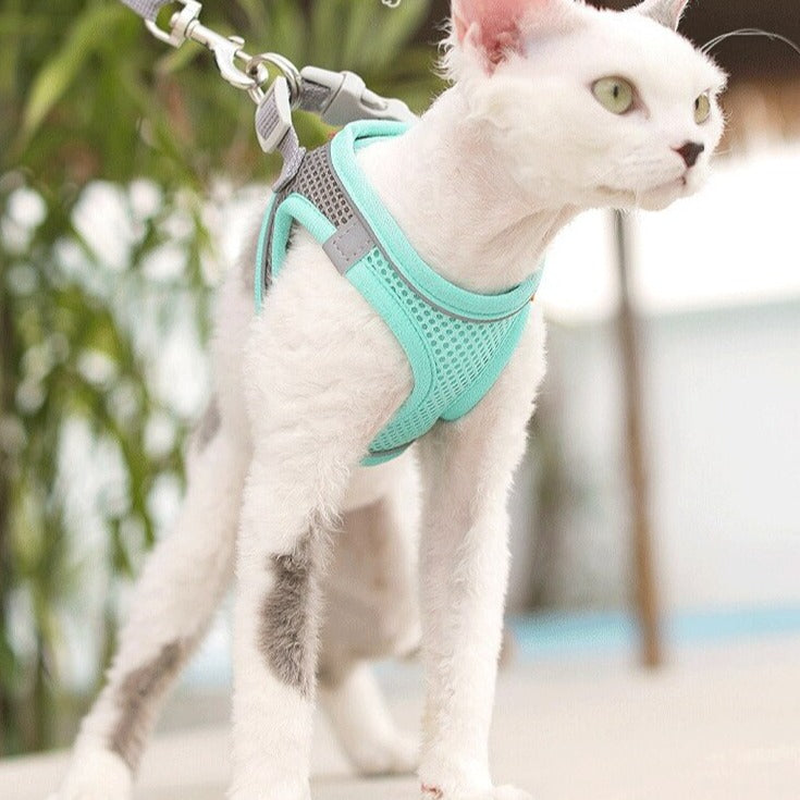 Mesh Cat Harness