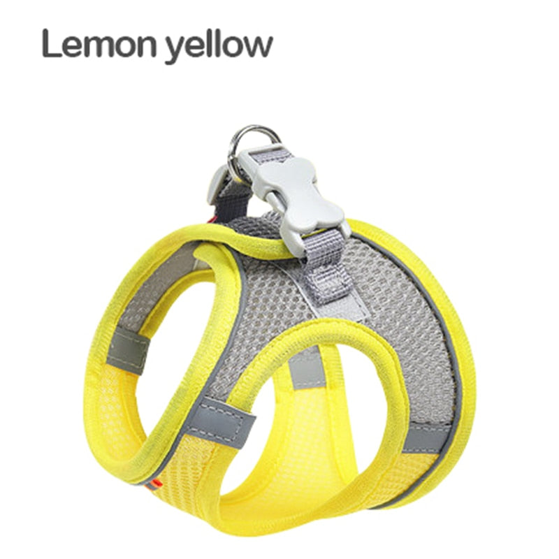 Mesh Cat Harness - Yellow / XXS