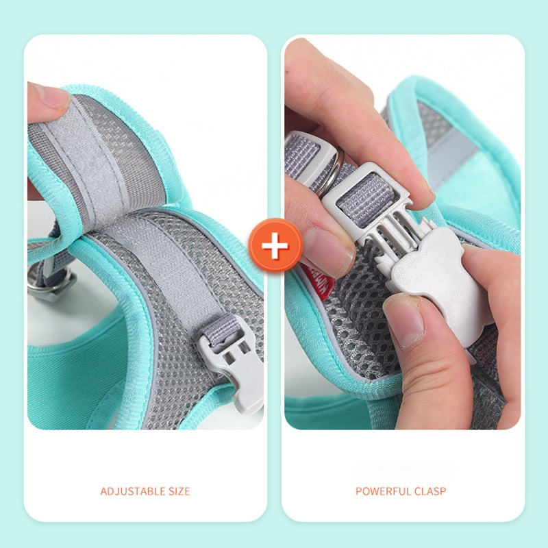 Mesh Cat Harness