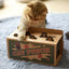 Mole Mice Game Cat Toy - Cat Toys