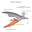 Nail Clipper Cat - Cat nail trimmer