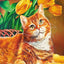 Orange Cat Diamond Painting - Orange / Square Drill 20X30cm