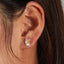 Orange Cat Earrings - Cat earrings