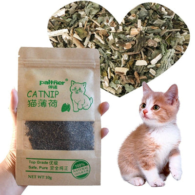 Organic Catnip