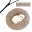 Orthopedic Cat Bed - Brown / 50cm