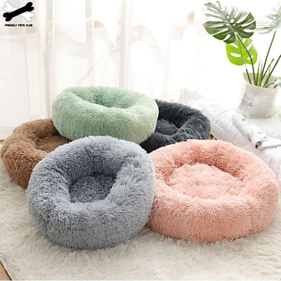 Orthopedic Cat Bed